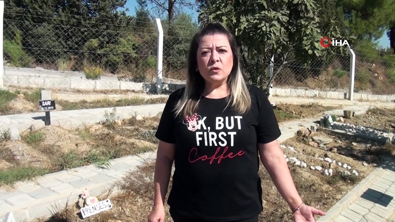 Kuşadası Can Dostlar defin alanına 89 hayvan defnedildi