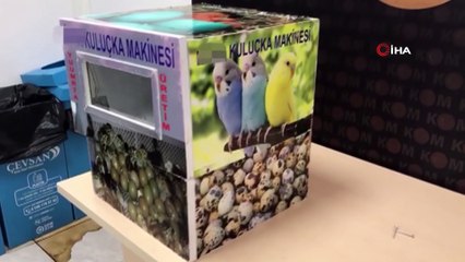 Download Video: Kuluçka makinesinde gizlenmiş 570 paket kaçak sigara ele geçirildi