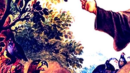 4 de octubre - San Francisco de Asís