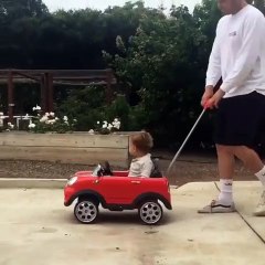 when your dog drives a better car than you - when your dog is better looking than you