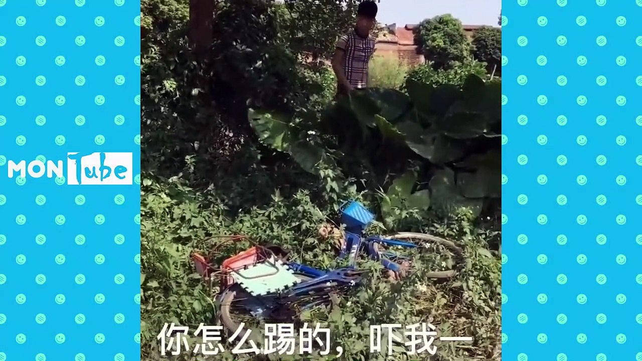 SEXY FUNNY CLIP 11- XEM CẤM CƯỜI - Best Chinese Funny Clips 2020 - Thánh TROLL