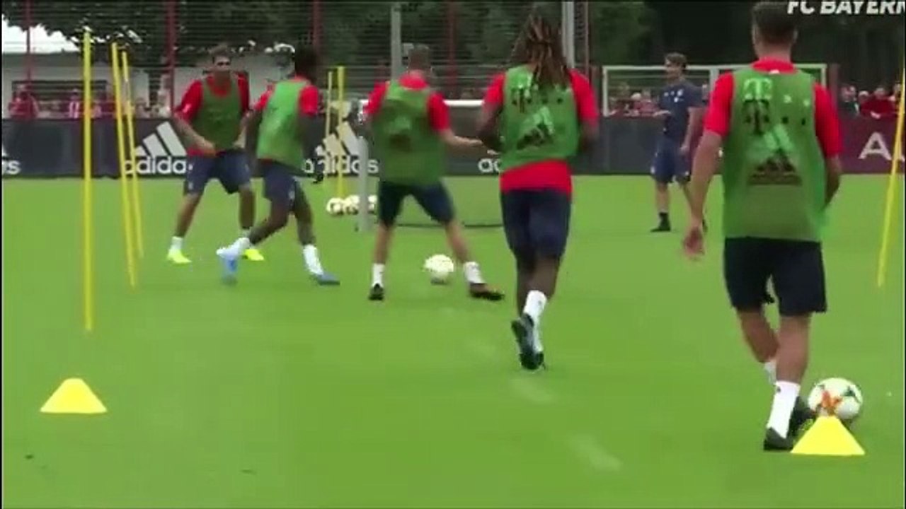 pas sa zavrsnicom