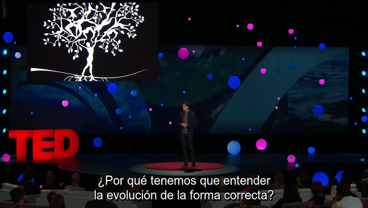 Los humanos no somos el objetivo de la evolución, por mucho que les pese a algunos