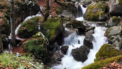 OLWIK - Taking Over (feat. Alexa Lusader) no copyright