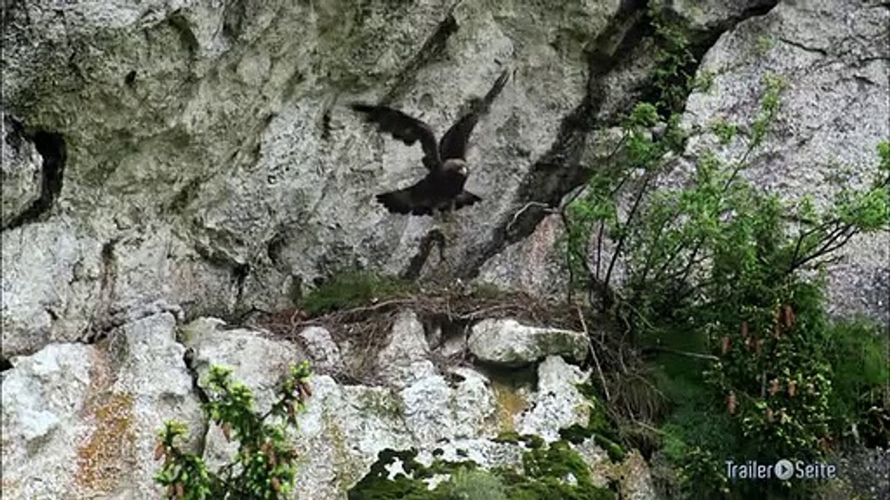 Ausschnitt aus Planet Deutschland: Die Alpen
