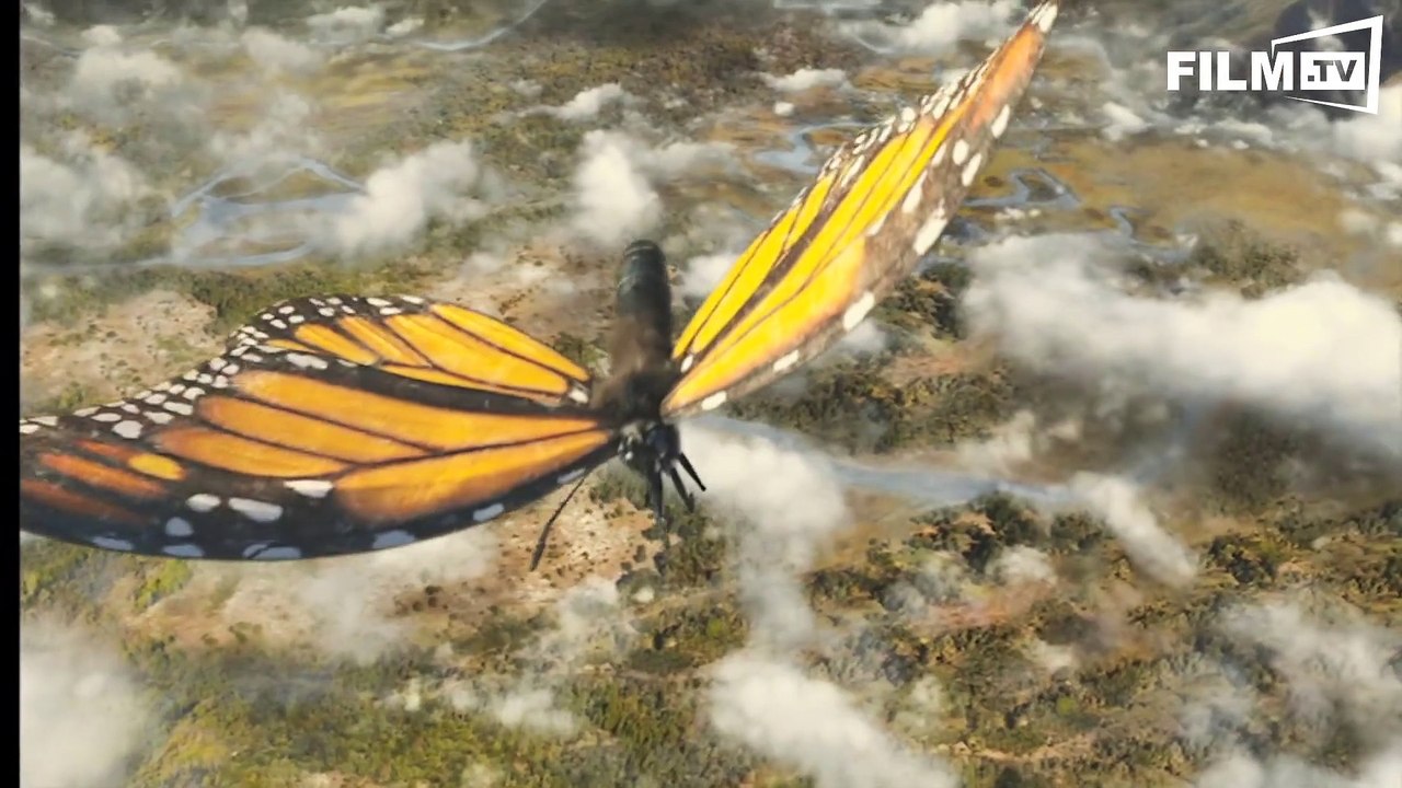 Flug Der Schmetterlinge - Trailer - Filmkritik (2015) - Exkl. Clip