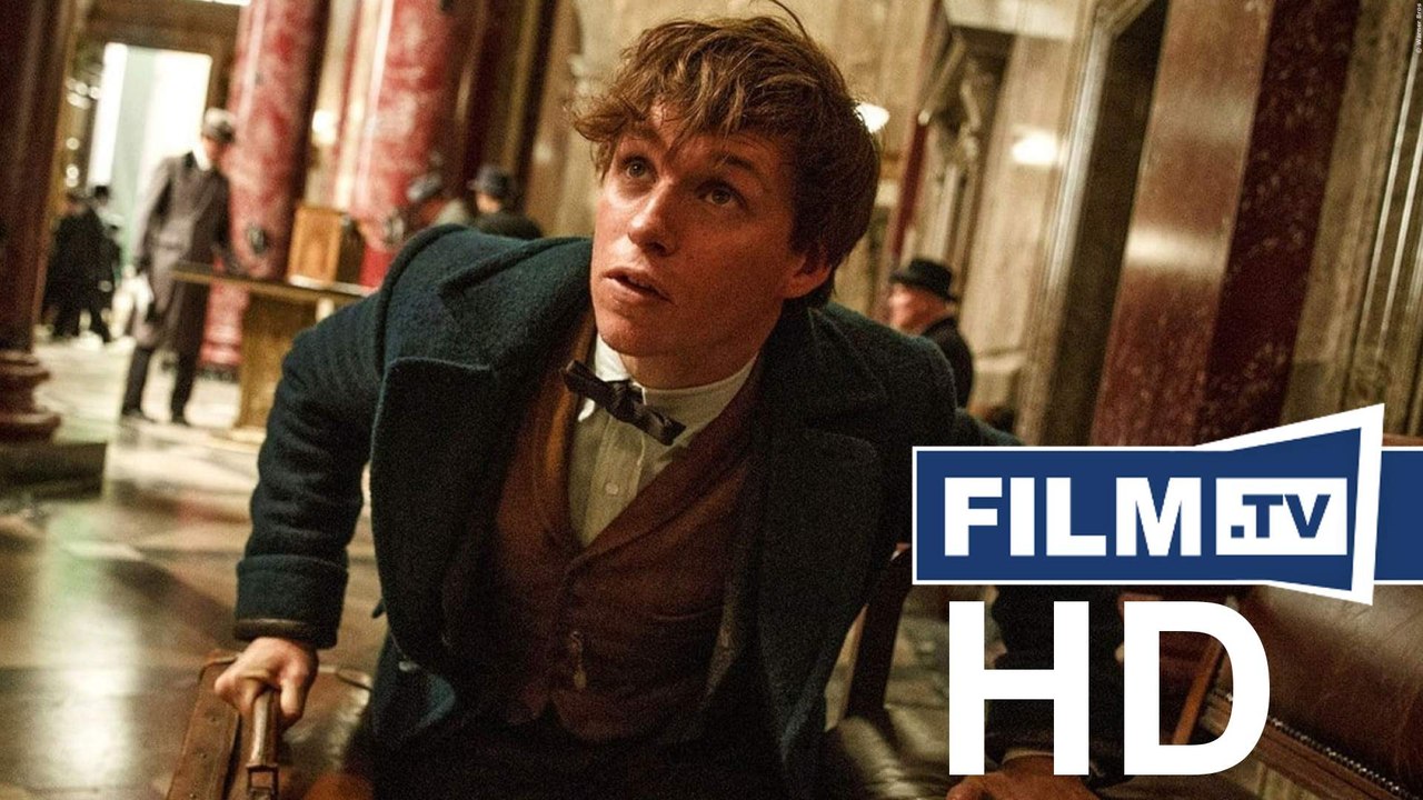 Harry Potter Spin-Off: Das amerikanische Hogwarts (2016) - Special