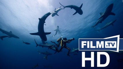 Jacques - Entdecker der Ozeane Trailer Deutsch German (2016)