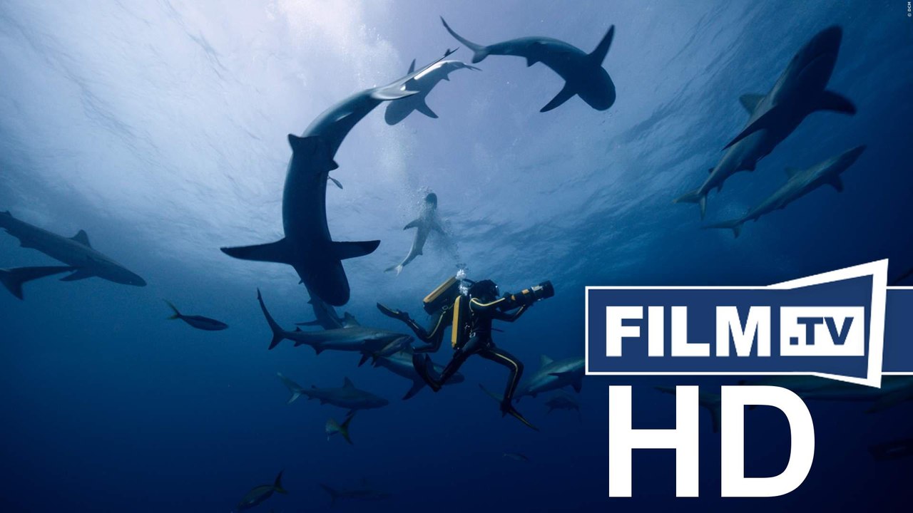 Jacques - Entdecker der Ozeane Trailer Deutsch German (2016)