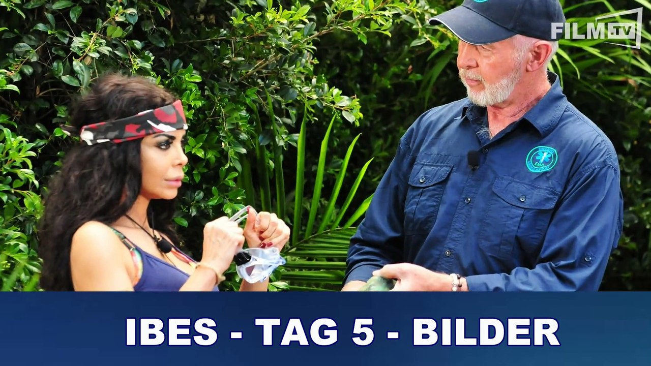 Dschungelcamp 2017 - Tag 5 - Schlangebiss bei Kader Loth