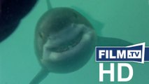 Open Water 3 - Erster Trailer zum Hai-Horror Englisch English (2017) - Trailer