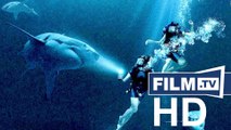 47 Meters Down: Exklusiver Clip zum Hai-Horror - Clip