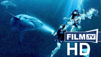 47 Meters Down: Exklusiver Clip zum Hai-Horror - Clip