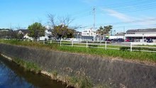 Creek Critters in Japan!