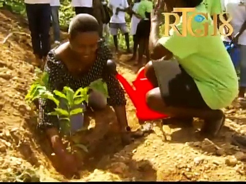 Martine Moïse premyè dam la plante plizyè pye bwa nan souzabèt ki nan komin Chansolme Nòdwès.