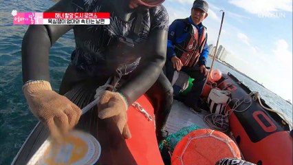 여덟 살에 배운 물질... 57년을 이어온 해녀의 삶