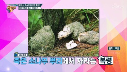 살을 빼는데 도움을 주는 약재가 있다?? #광고포함