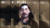 Zeyn'el - Bu Yıl Bu Dağların Karı