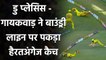 IPL 2020 CSK vs RCB: Faf du Plessis और Ruturaj Gaikwad ने पकड़ा शानदार कैच  | वनइंडिया हिंदी