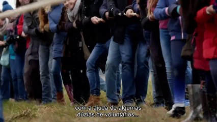 Avanço - Ideias que mudaram o mundo - o Carro