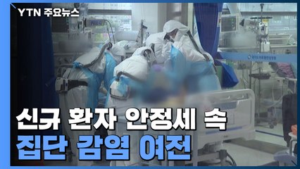 신규 환자 안정세 속 집단 감염 여전...핼러윈 데이 '비상' / YTN