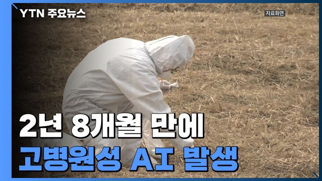 2년 8개월 만에 고병원성 AI 발생...방역 비상 / YTN
