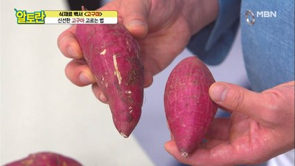 "구매 장소도 중요하다?!" 신선한 [고구마] 고르는 법