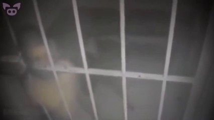 These Scary Videos Are Leaving People Rattled