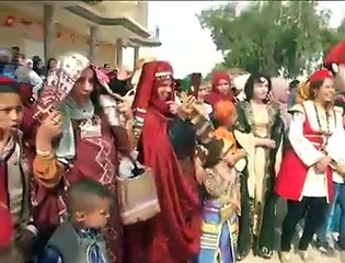 يا عين الشَّــرّاد أغنية من تراث الهمامة