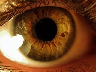 El Y El Otro: Videopoema inspirado en Bastos