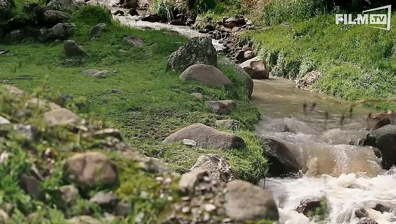 Daughter Of The Lake Trailer (2015)