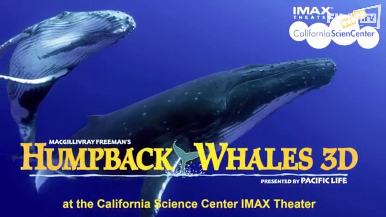 Humpback Whales - Buckelwale Im Pazifik Trailer (2017)