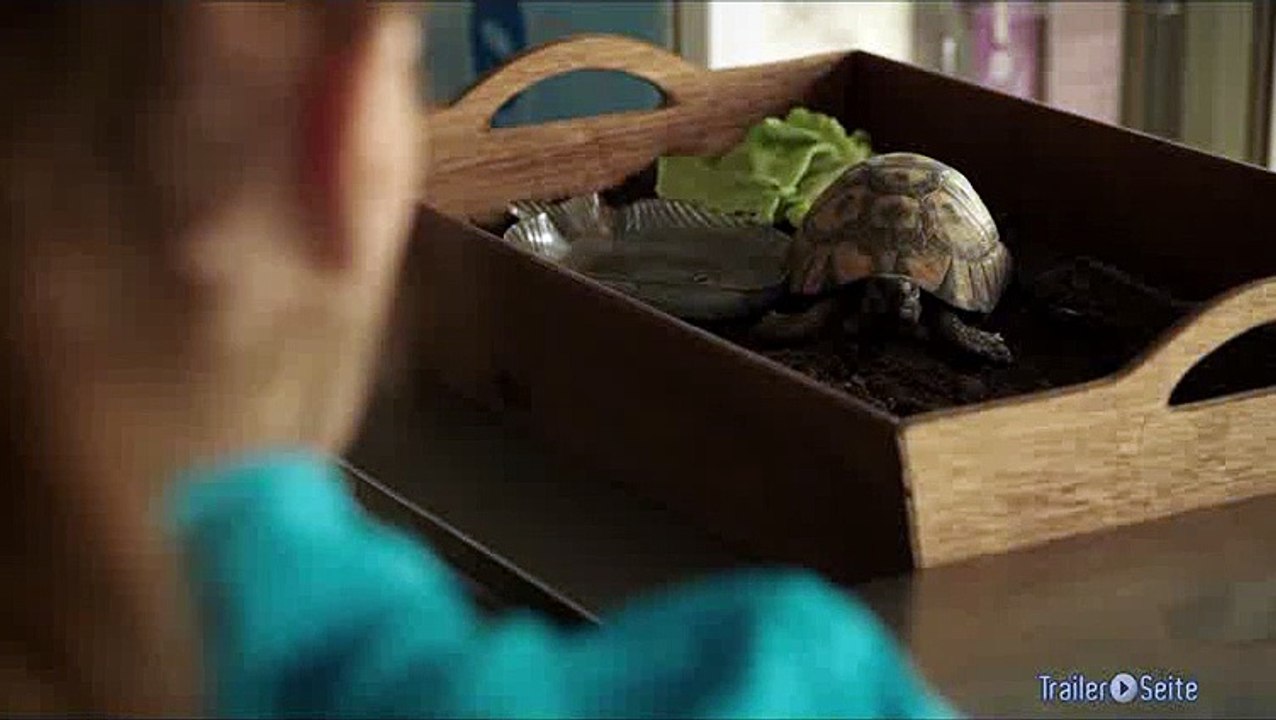Ausschnitt aus Cafe Olympique: Sprechende Schildkroete
