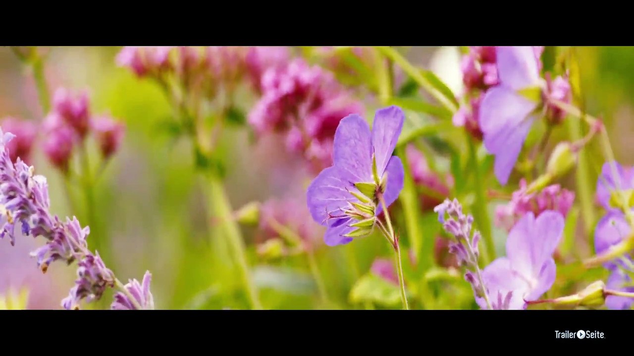 Am Grünen Rand Der Welt - Trailer - Filmkritik (2015) - Trailer 1
