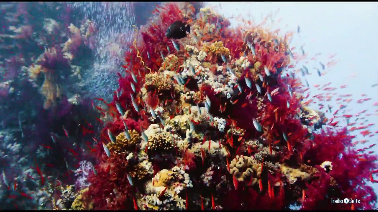 Afrika - Das Magische Königreich Trailer Deutsch German (2015)