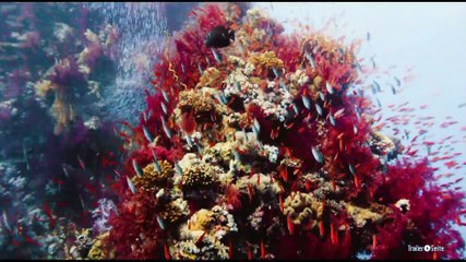 Afrika - Das Magische Königreich Trailer Deutsch German (2015)