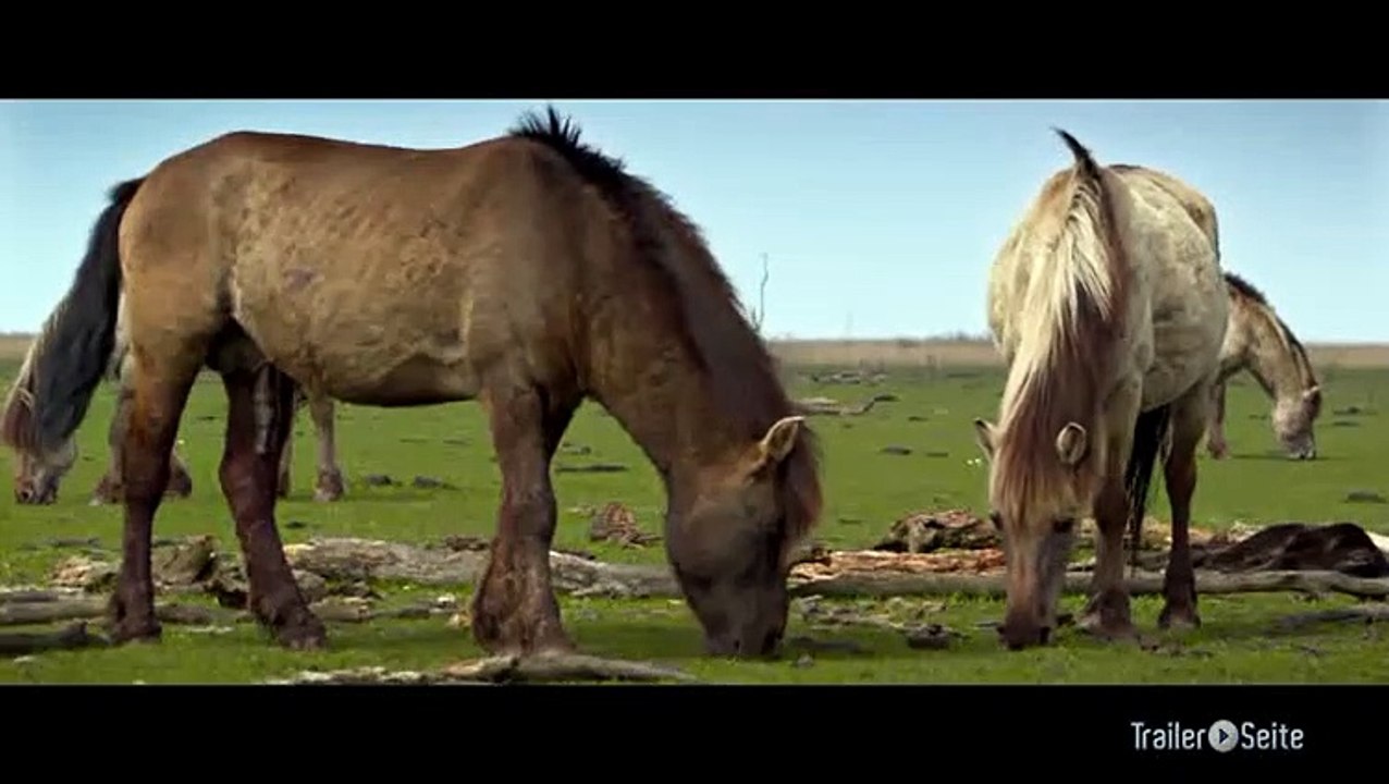 Ausschnitt aus Die Neue Wildnis: Herrscher des Graslands