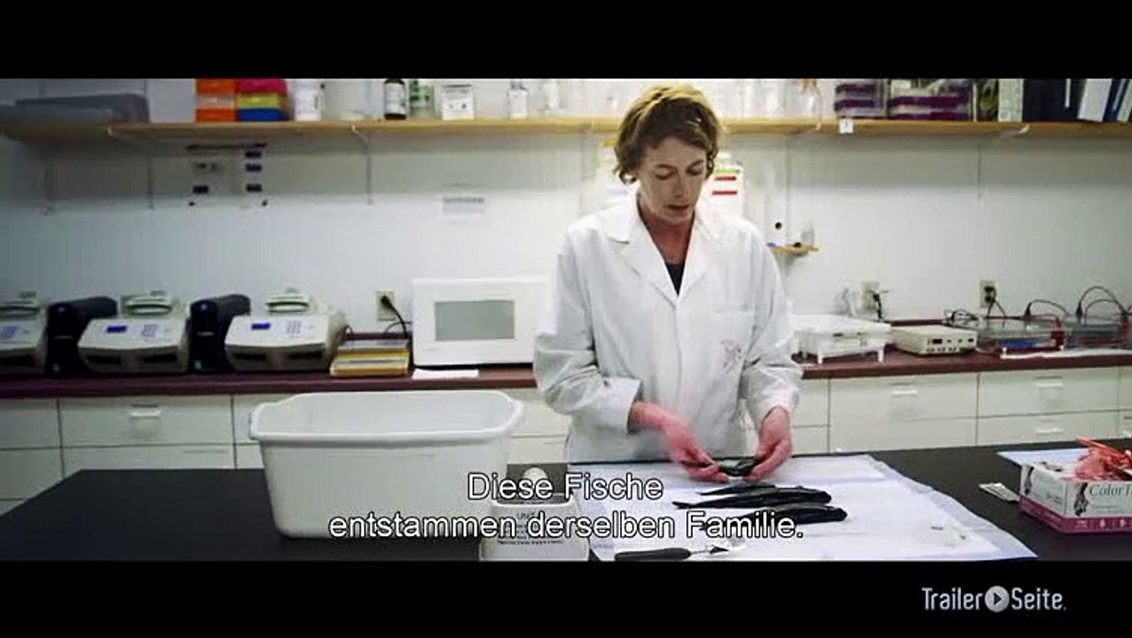 Ausschnitt aus 10 Milliarden - Wie Werden Wir Alle Satt: Lachse