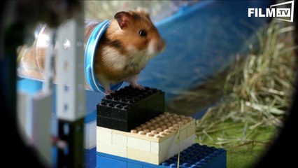 Rettet Raffi - Trailer - Filmkritik (2015) - Trailer