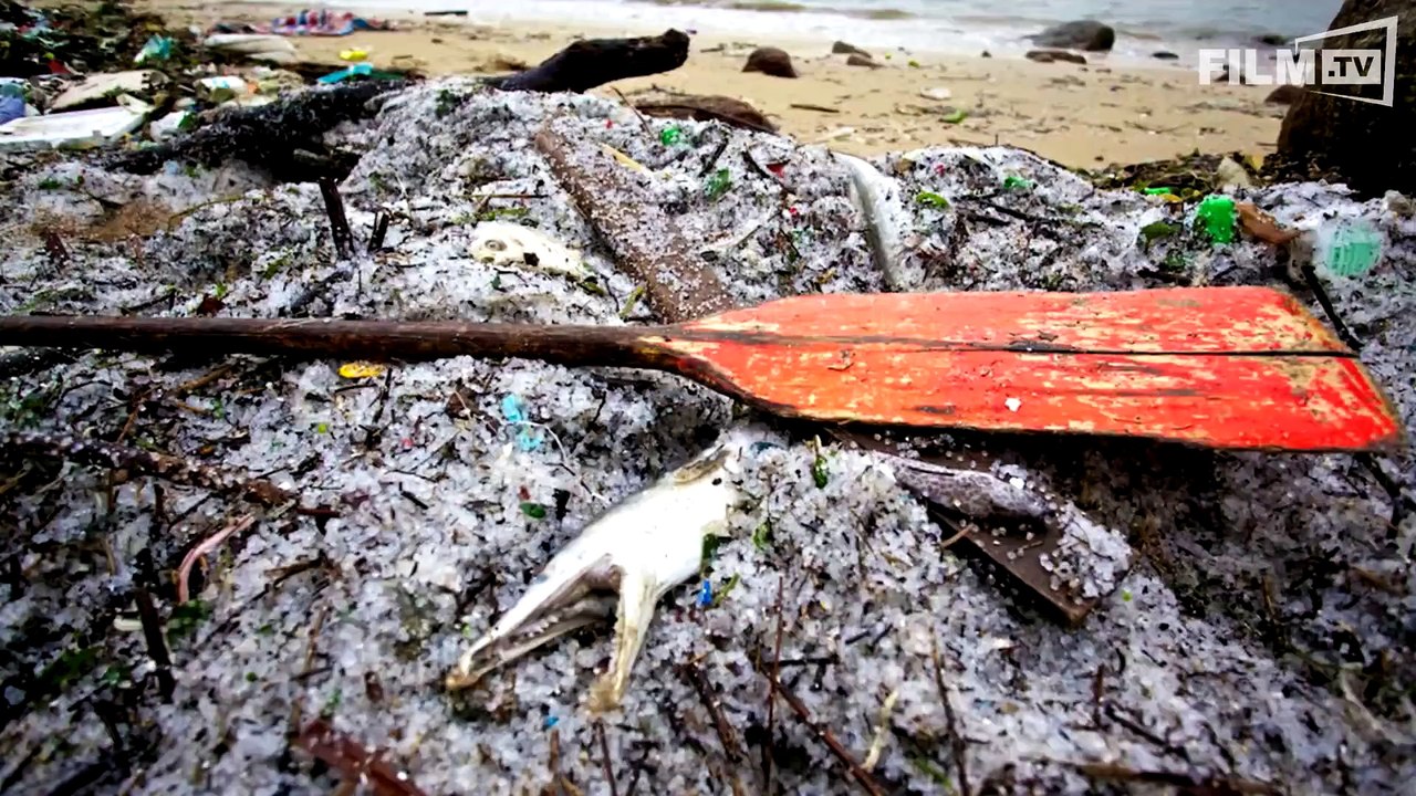 A Plastic Ocean Trailer (2016)