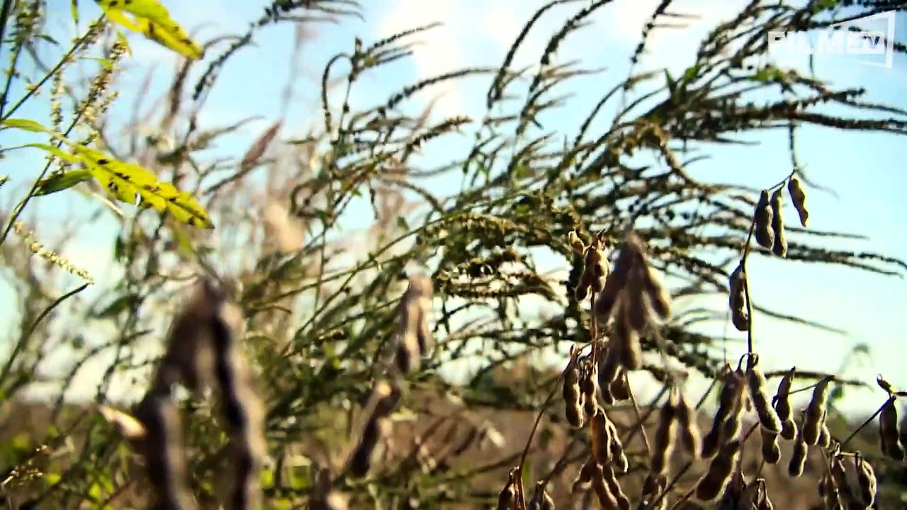 Code Of Survival Trailer (2017)