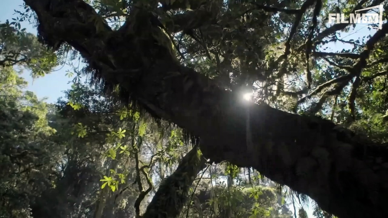 Die Stille Revolution Trailer (2016)