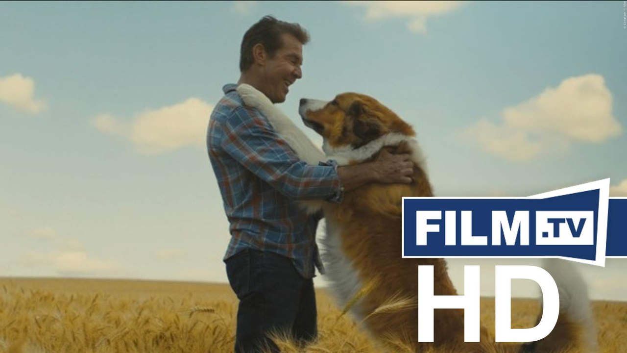 Bailey - Ein Hund Kehrt Zurück Trailer Deutsch German (2019)