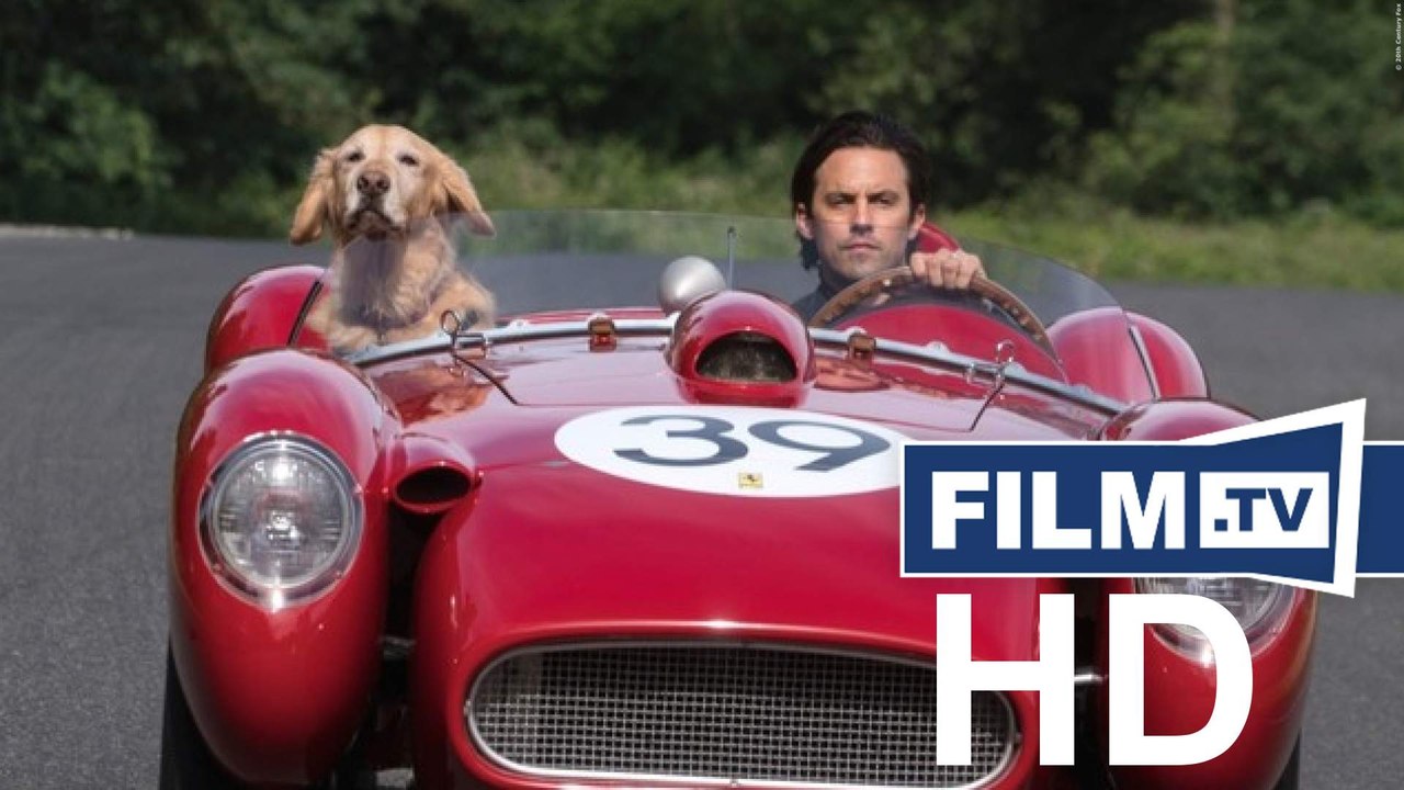 Enzo Und Die Wundersame Welt Der Menschen Trailer Deutsch German (2019) - FSK 0