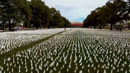 الفنانون ينتقدون تعامل إدارة ترامب مع جائحة كورونا