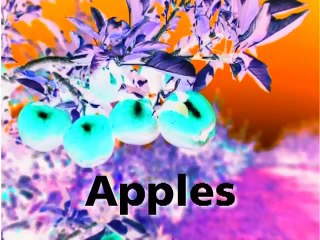 Baby MacDonald in G Major [Part 2]