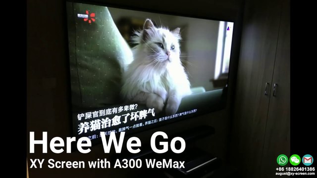 XY Screens 80 inch PET Crystal Screen with Wemax A300 UST projector