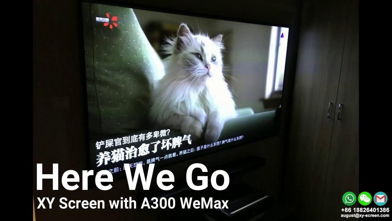 XY Screens 80 inch PET Crystal Screen with Wemax A300 UST projector