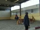 Etalon avec kevin Staut Stallion