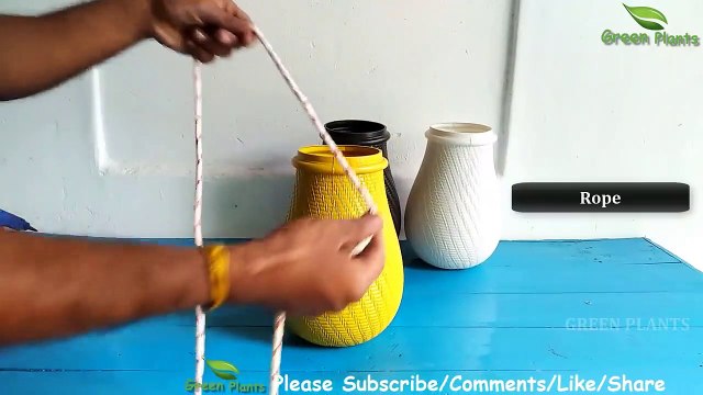 Best Ideas to Grow Snake Plant-Snake plant Growing in Indoor-Snake plants Growing Idea GREEN PLANTS